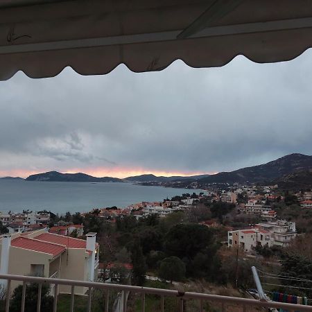 PalaiónTsiflíkion Bright View Apartment מראה חיצוני תמונה